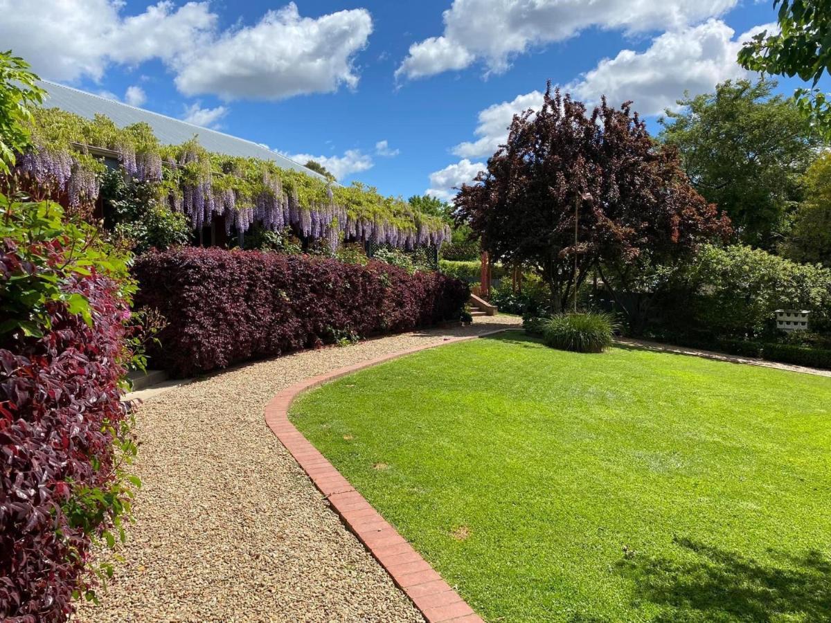 Twelve on Albert Beechworth Exterior foto